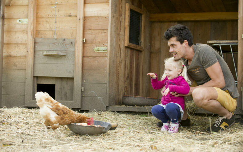 Vater und Kinde füttern ein Huhn