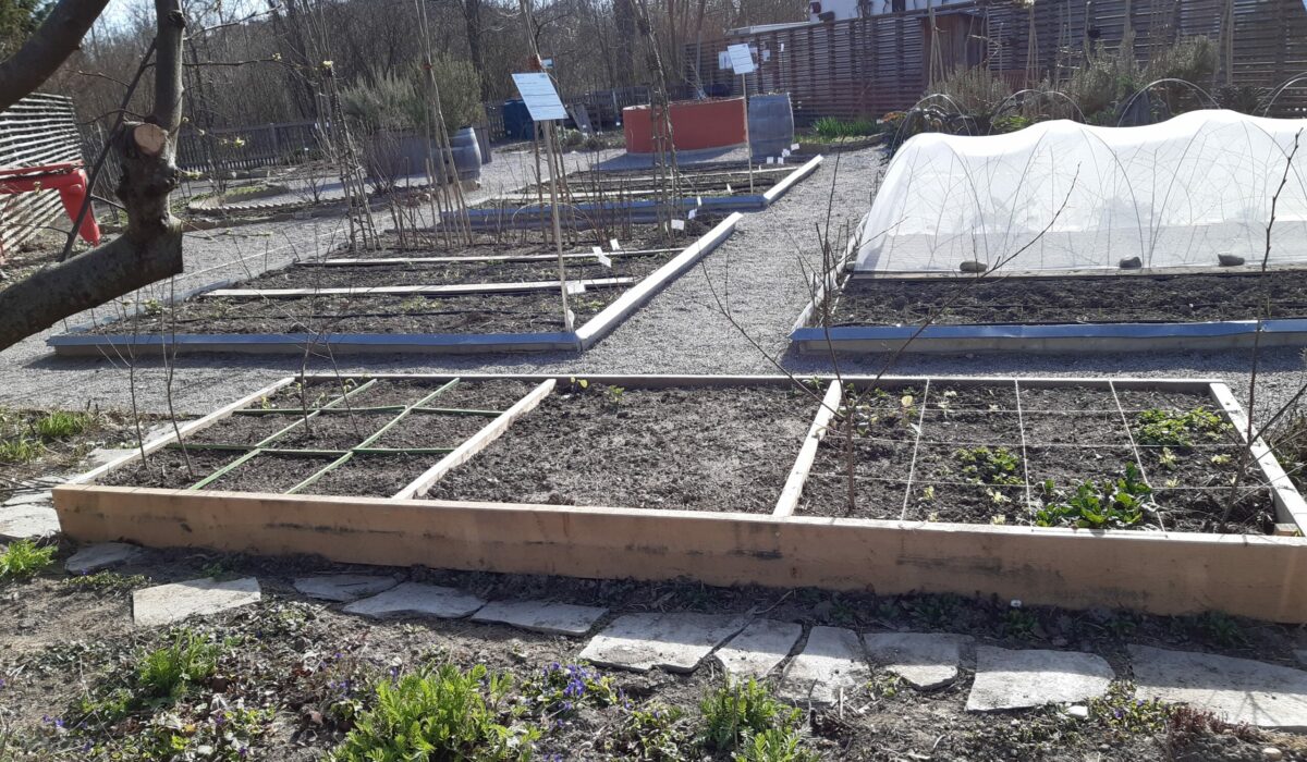Gemüsebeete im Frühling