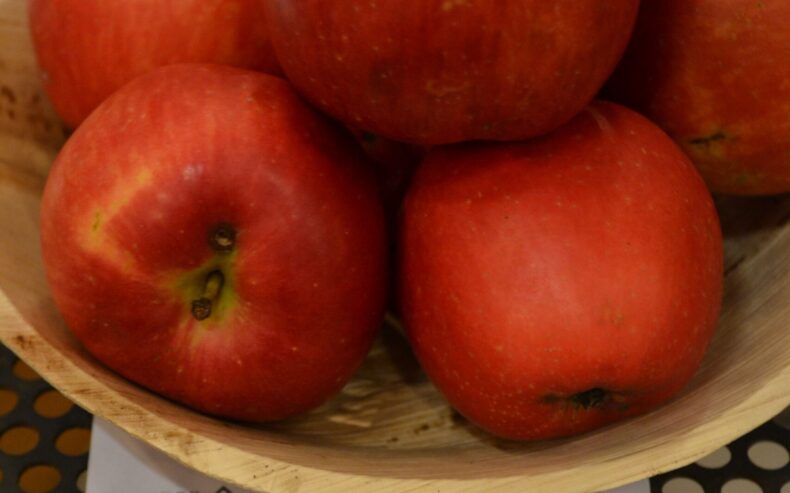 Äpfel der Sorte "Purpurroter Cousinrot.