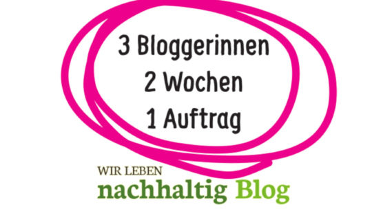 Aktion 3 Bloggerinnen 2 Wochen 1 Aufgabe