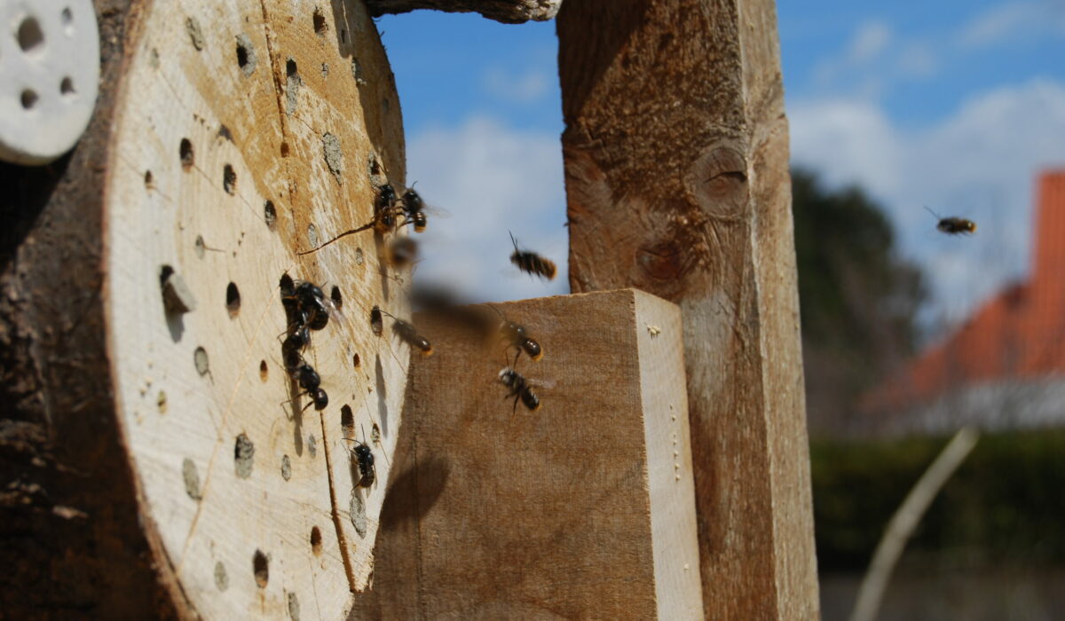 Wildbienenhotel