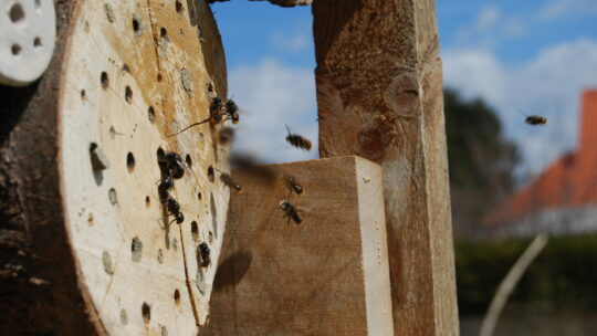 Wildbienenhotel