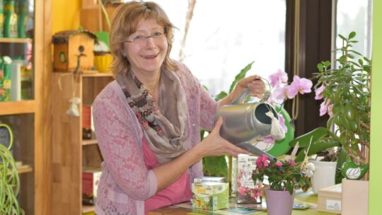 Elisabeth Koppensteiner beim Zimmerpflanzen gießen im Büro