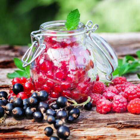 Beeren einlegen