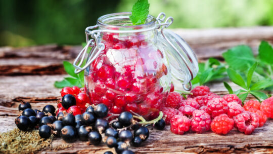 Beeren einlegen