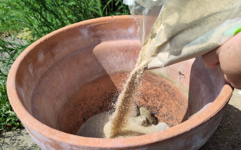 Den Topf mit Sand auffüllen.
