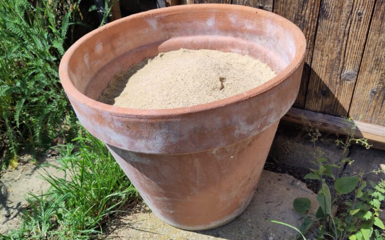 Fertiges Sandarium im Topf wartet auf Besiedlung.