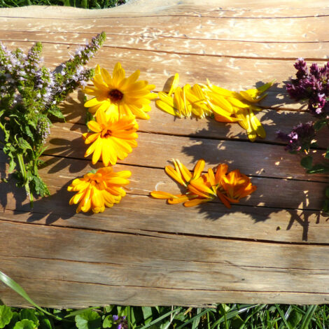 Blüten trocknen