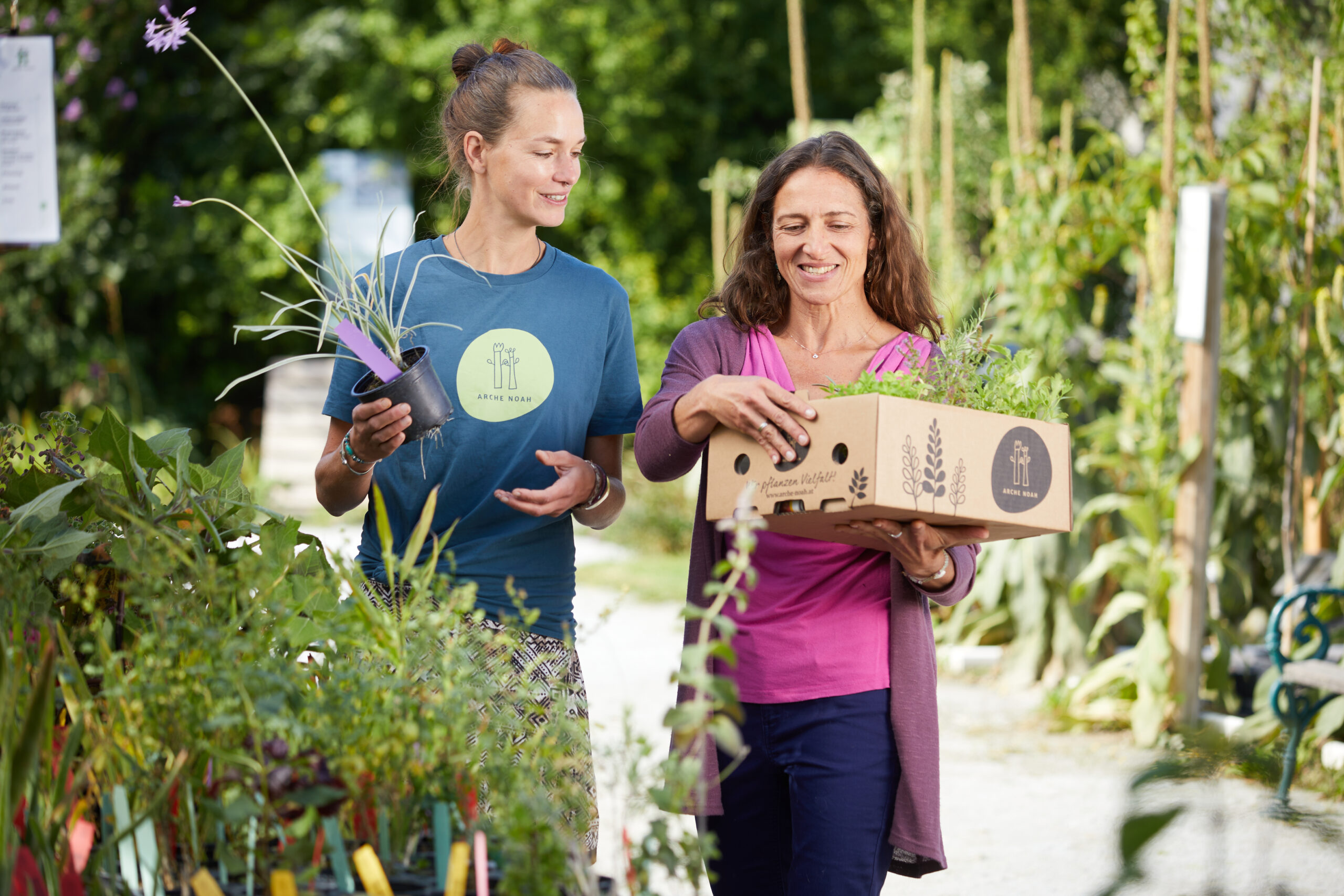 Pflanzenvielfalt im Schaugarten der Arche Noah.
