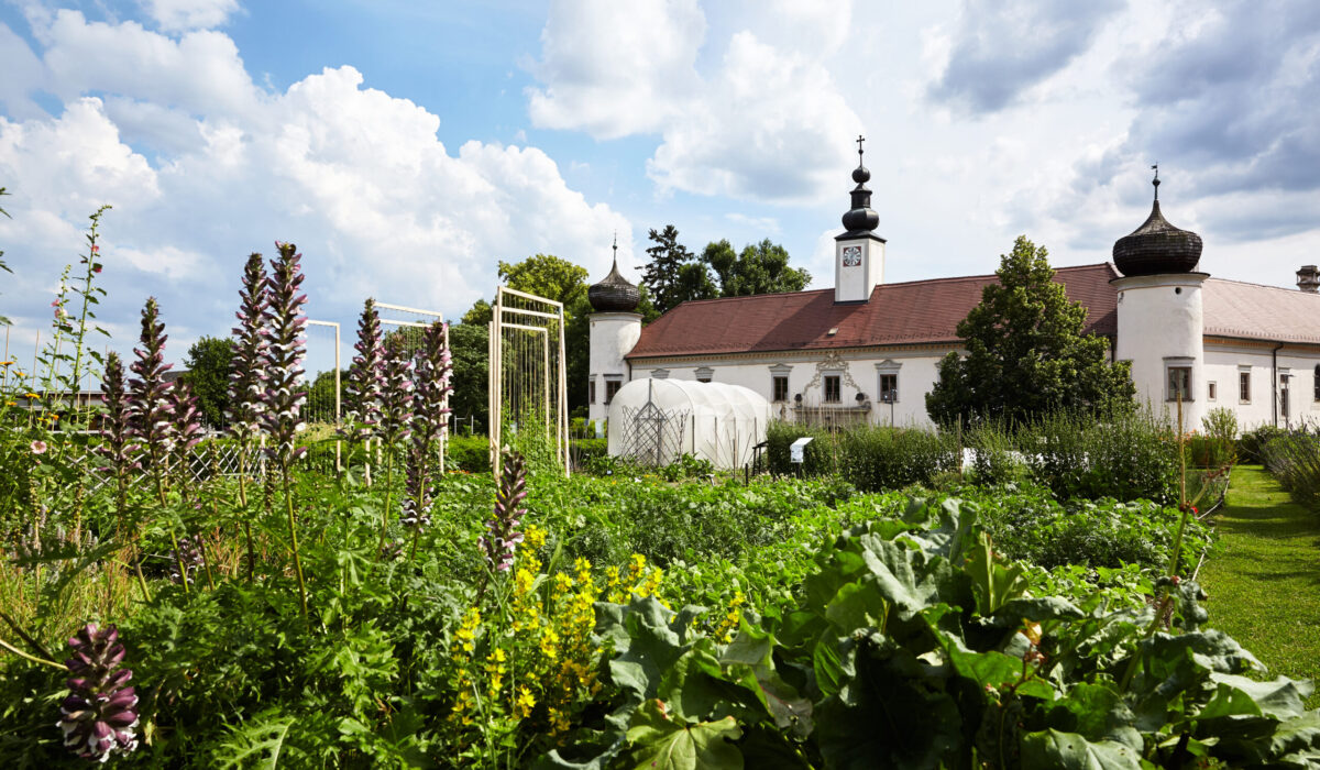 Garten der Arche Noah mit Schloss Schiltern im Hintergrund.