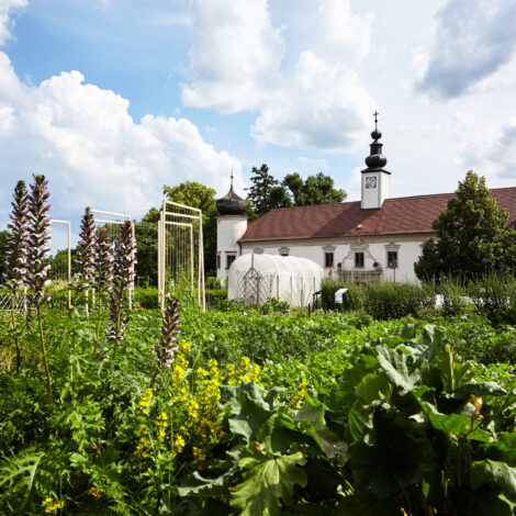 Garten der Arche Noah mit Schloss Schiltern im Hintergrund.