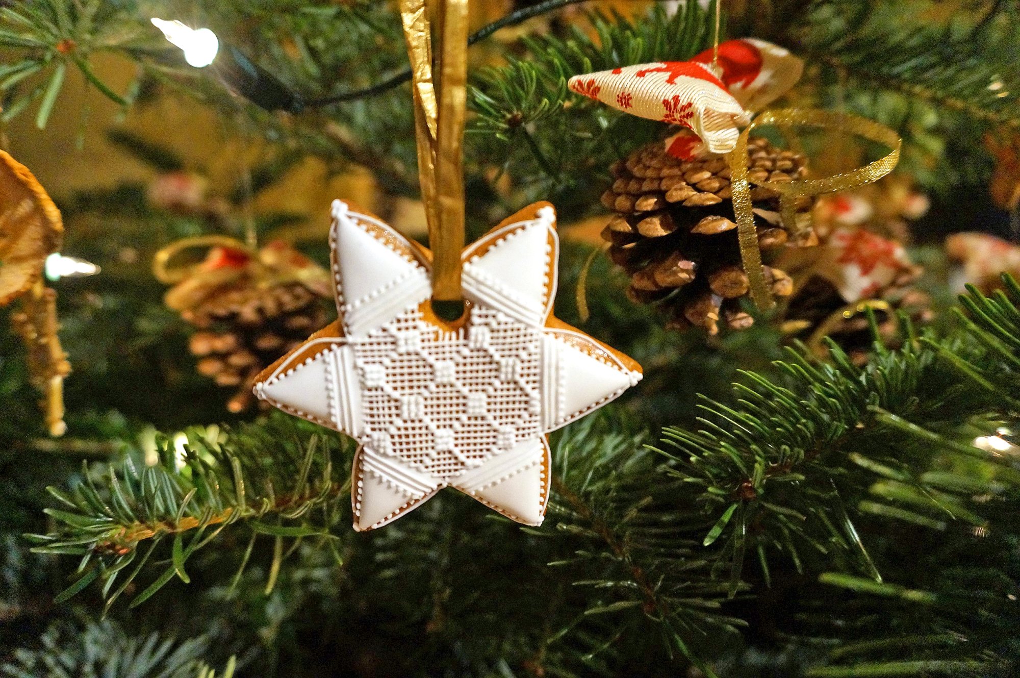 Natürlicher Christbaumschmuck selbst gemacht