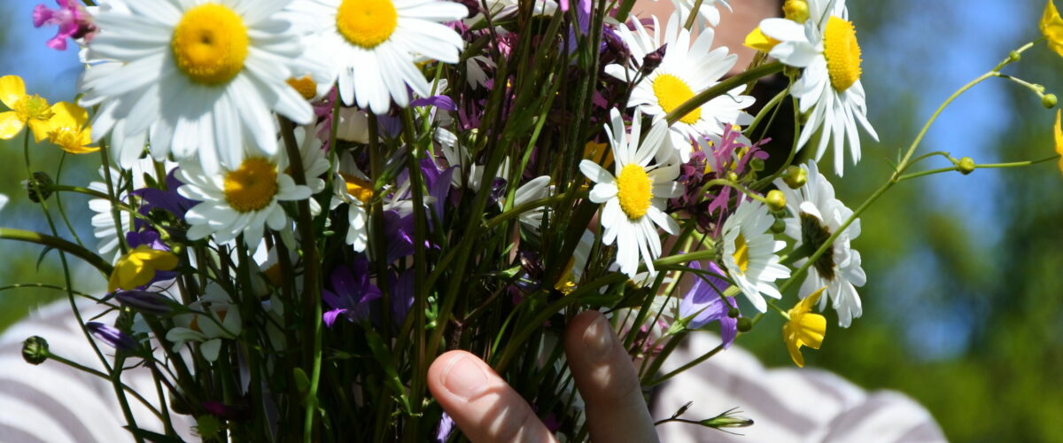 Wiesenblumenstrauß
