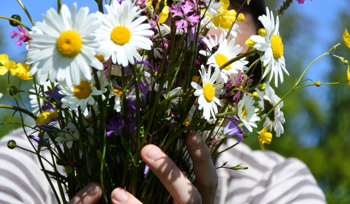 Wiesenblumenstrauß