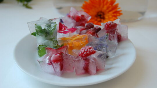 Eiswürfel mit Blüten und Früchten