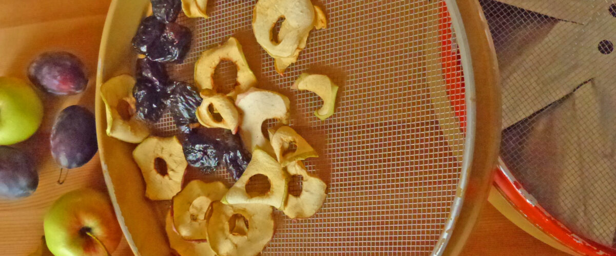 Dörrgerät zum Trocknen von Obst und Gemüse