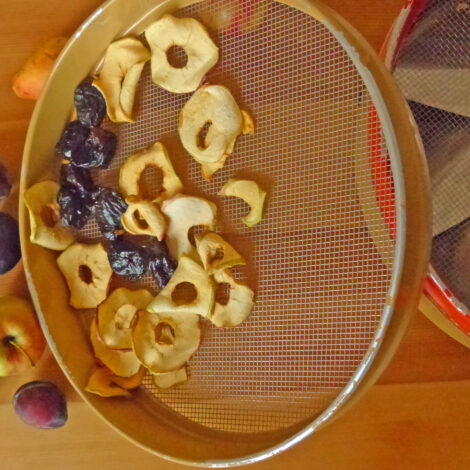 Dörrgerät zum Trocknen von Obst und Gemüse