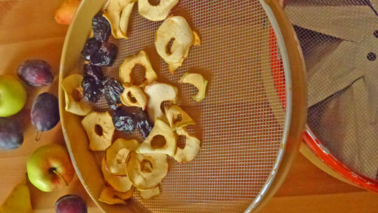 Dörrgerät zum Trocknen von Obst und Gemüse