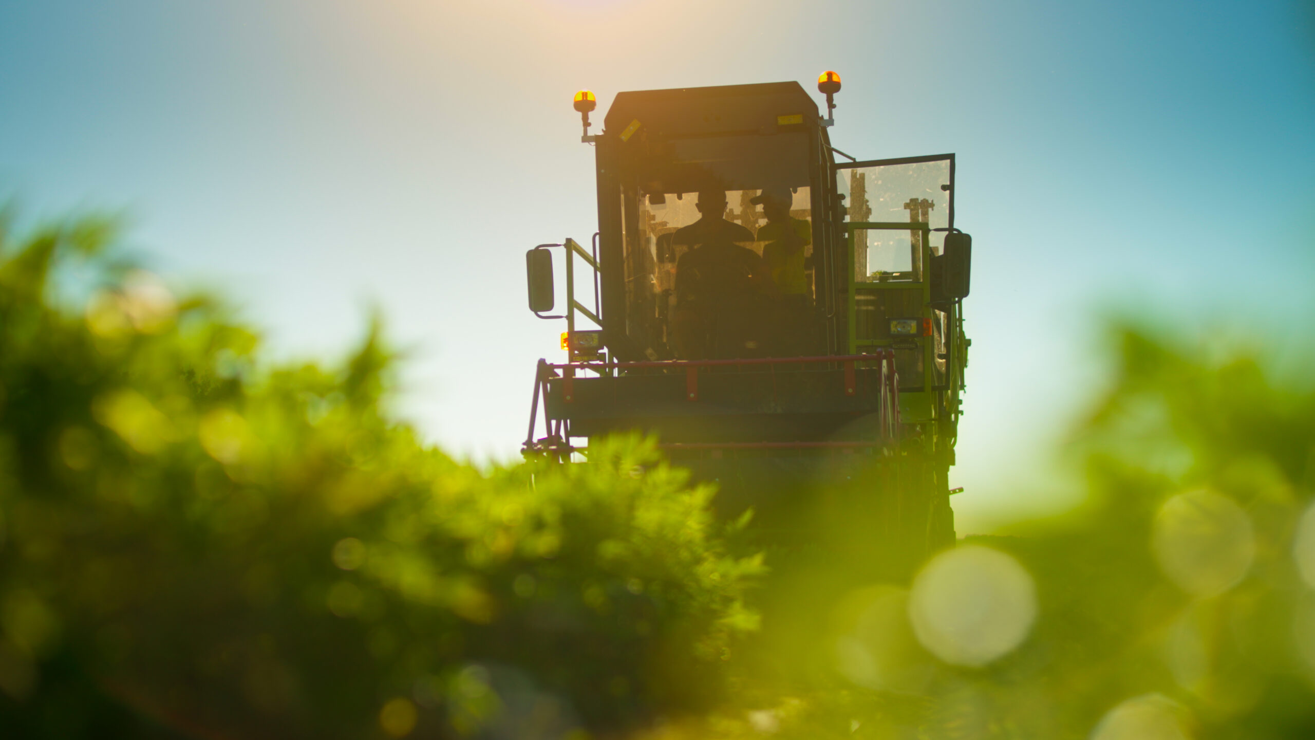 Erntemaschine am Feld im Sonnenschein