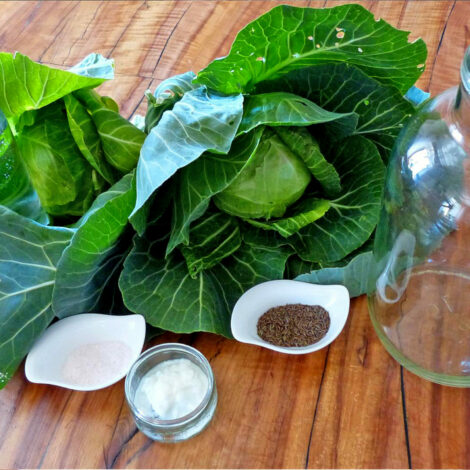 Kraut fermentieren