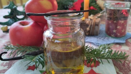 Vanilleschoten und Vanilleöl mit Weihnachtliche Dekoration und Kosmetik