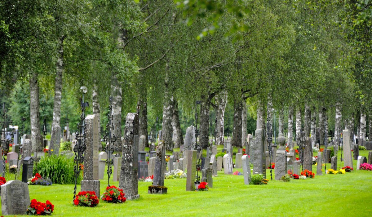 Friedhof als Lebensraum für Tiere in der Stadt