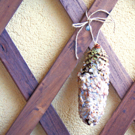 Futterzapfen für die Vögel Winterfütterung