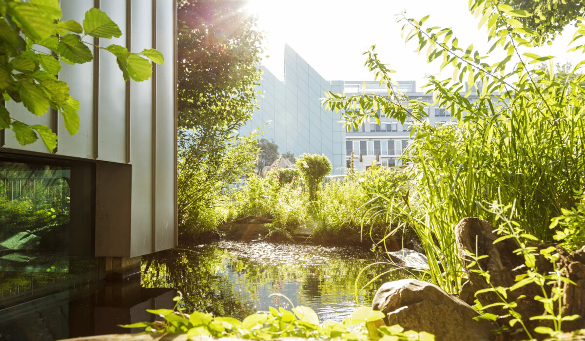 Museum NÖ Gebäude, im Vordergrund der Naturgarten mit viel Grün und Wasser