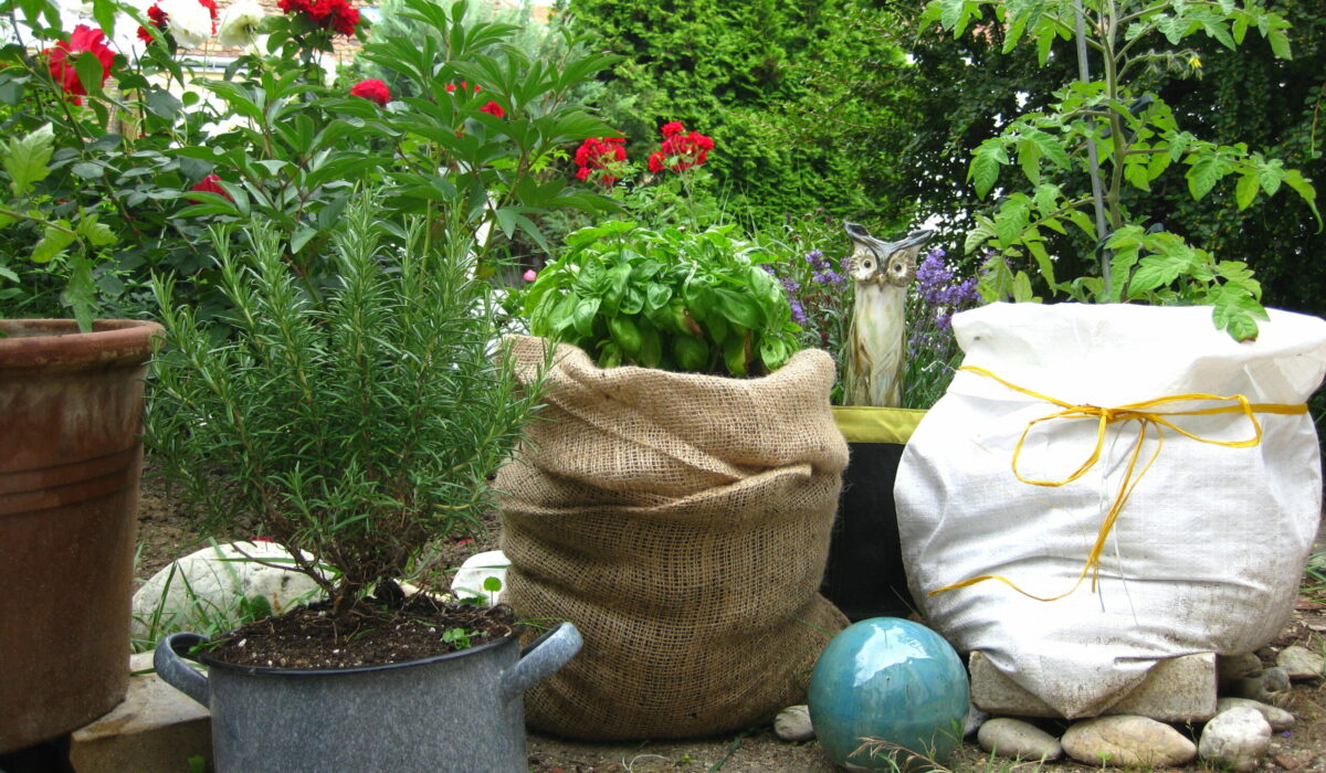 Alternative Pflanzgefäße für den Garten und Balkon