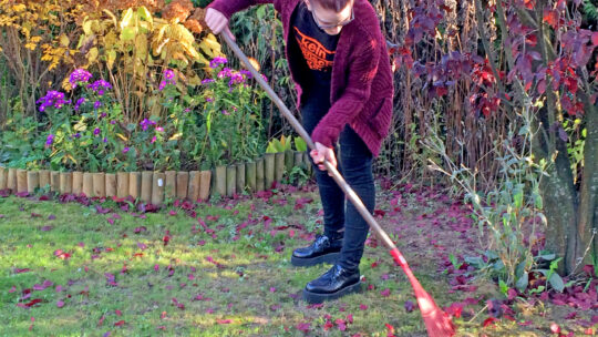 Gartenarbeit im Herbst