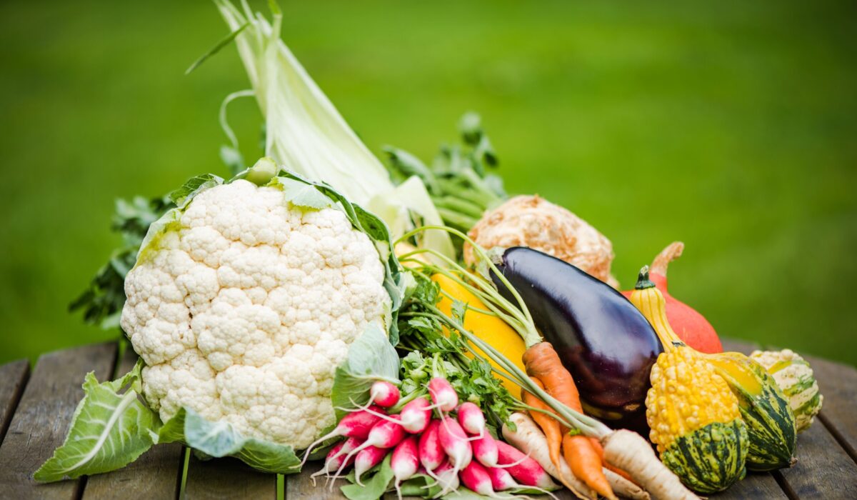 Frisches Gemüse am Gartentisch bereichern unsere Ernährung