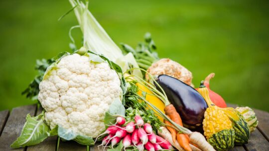 Frisches Gemüse am Gartentisch bereichern unsere Ernährung