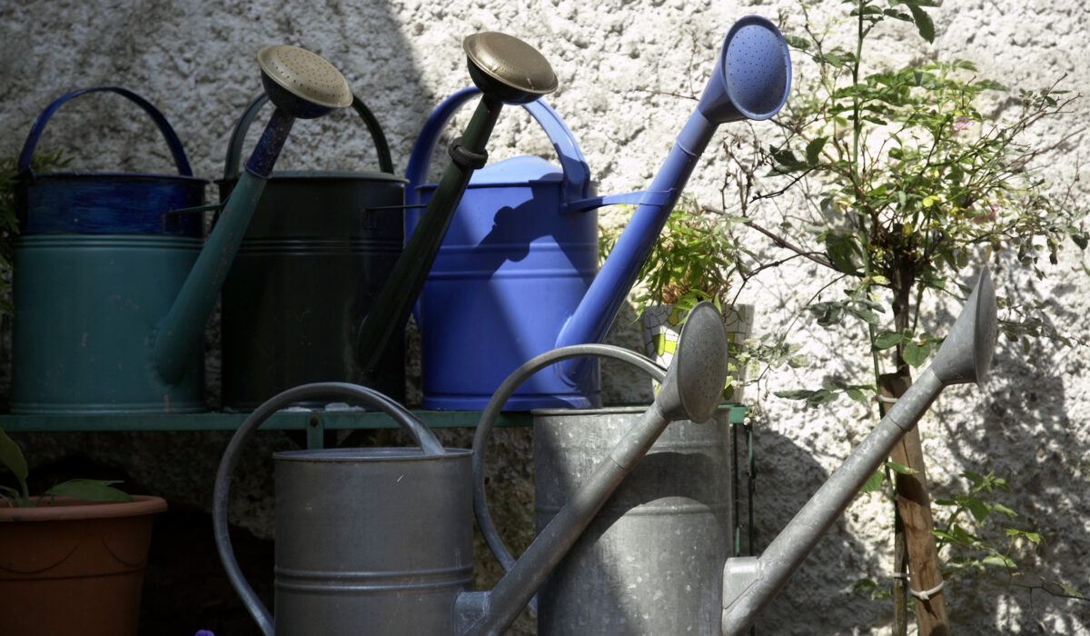 Gießkannen für den Gemüsegarten