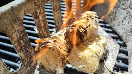 Brennende Grillanzünder aus Holzwolle.