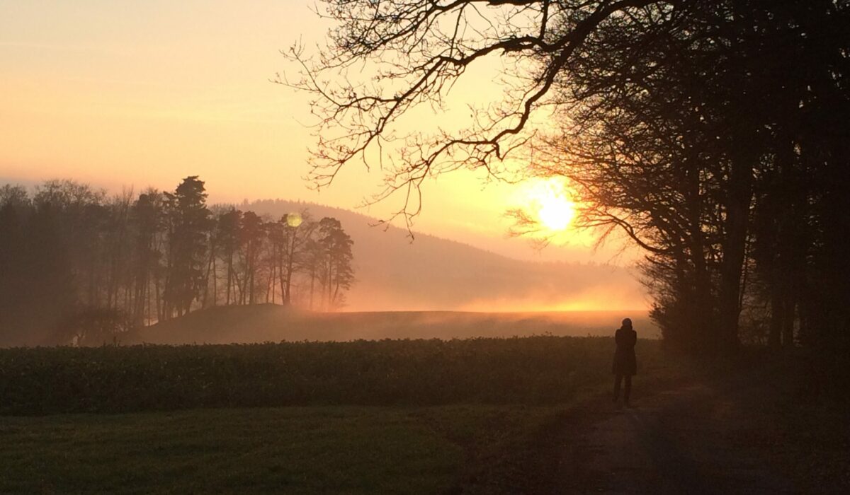 Frau spaziert bei Sonnenuntergang und Nebel am Waldrand im November.