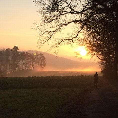 Frau spaziert bei Sonnenuntergang und Nebel am Waldrand im November.