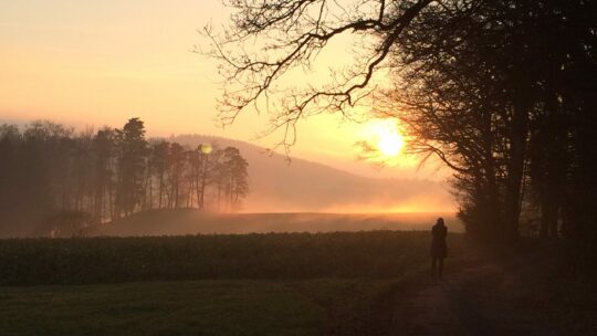 Frau spaziert bei Sonnenuntergang und Nebel am Waldrand im November.