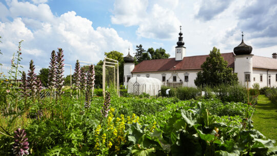 Schaugarten der Arche Noah mit Schloss Schiltern.