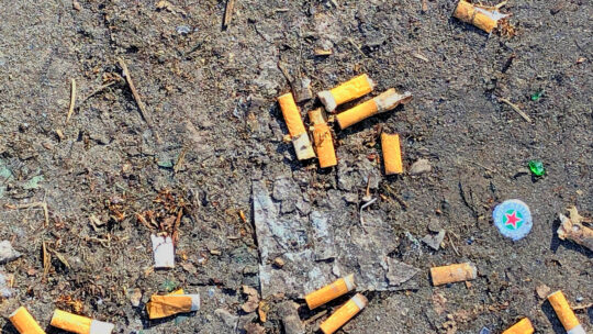 Zigarettenstummeln belasten die Umwelt