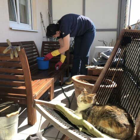 Frau putzt den Balkon und die Balkonmöbeln mit einem Kübel und Schwamm. Im Vordergrund schläft eine Katze im sonnigen Sessel