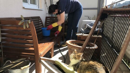Frau putzt den Balkon und die Balkonmöbeln mit einem Kübel und Schwamm. Im Vordergrund schläft eine Katze im sonnigen Sessel