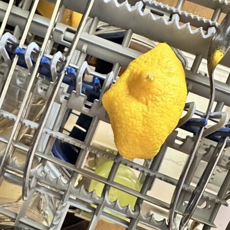 Ausgepresste Zitronenhälfte liegt auf der Bestecklade im Geschirrspüler