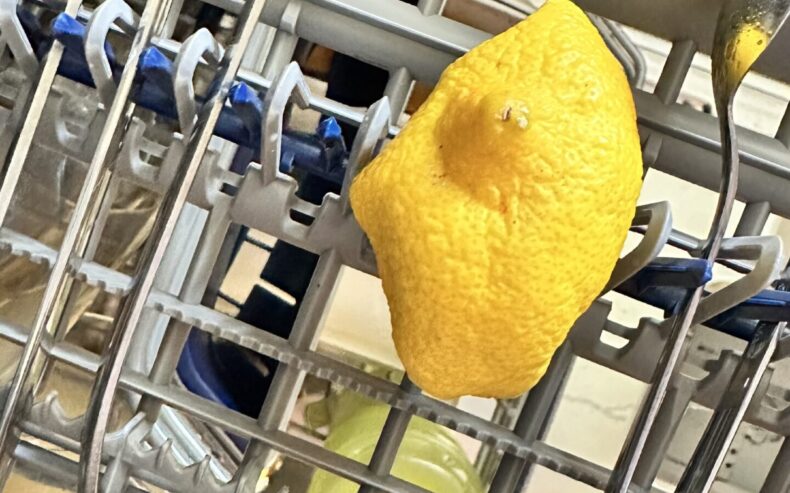 Ausgepresste Zitronenhälfte liegt auf der Bestecklade im Geschirrspüler