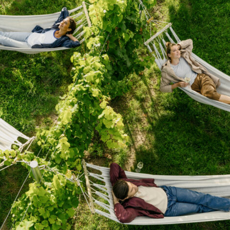 Menschen in Hängematten im Weinberg