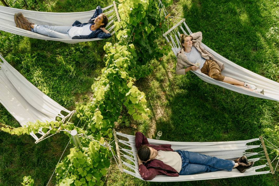 Menschen in Hängematten im Weinberg