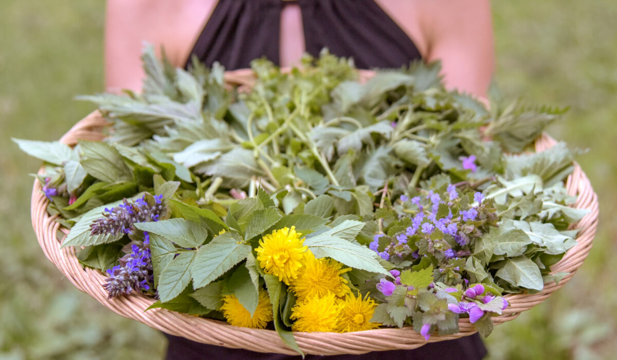 Korb voller Kräuter und Blumen