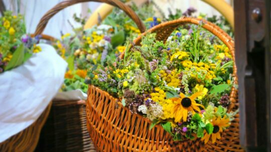 bunte Kräuterbüschel in geflochtenen Körben