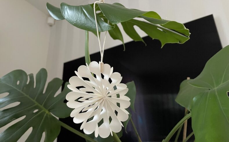 Monstera weihnachtlich geschmückt