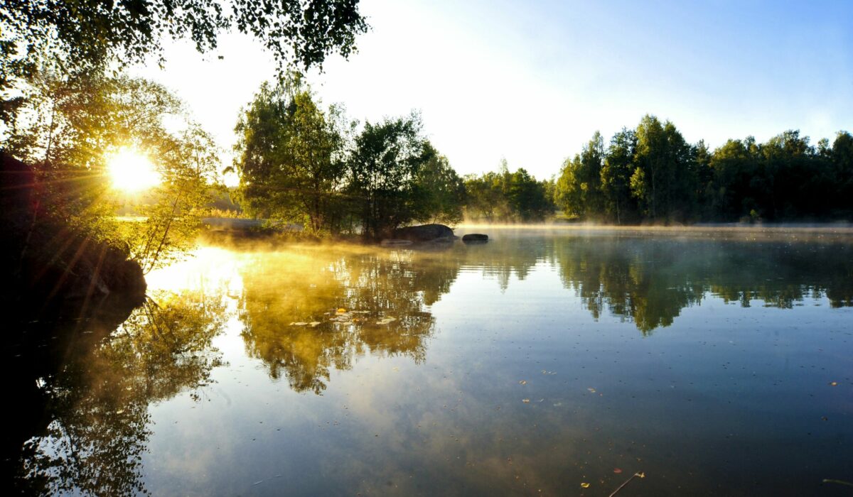 Blockheide im Waldviertel - Sonnenuntergang bei Teich mit Laubbäumen und Spiegelungen im Wasser