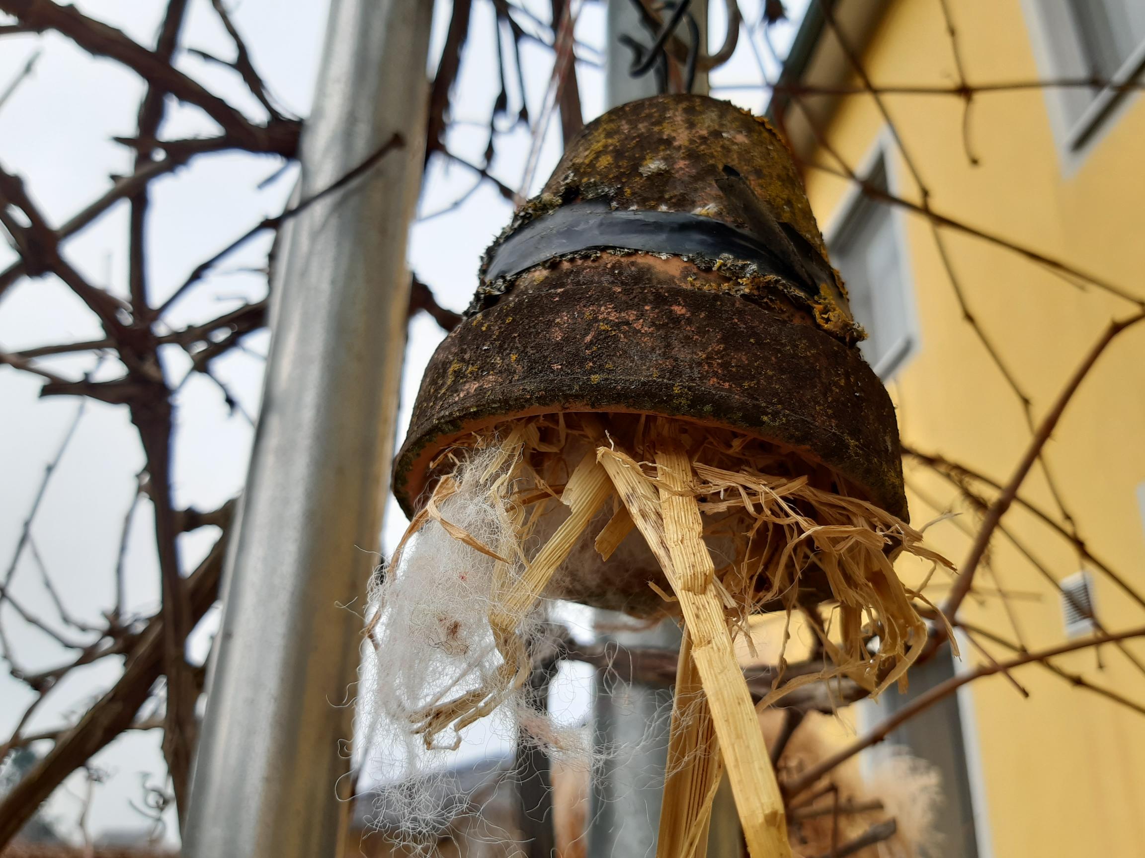 Nistmaterial für Gartenvögel in einem alten Blumentopf.